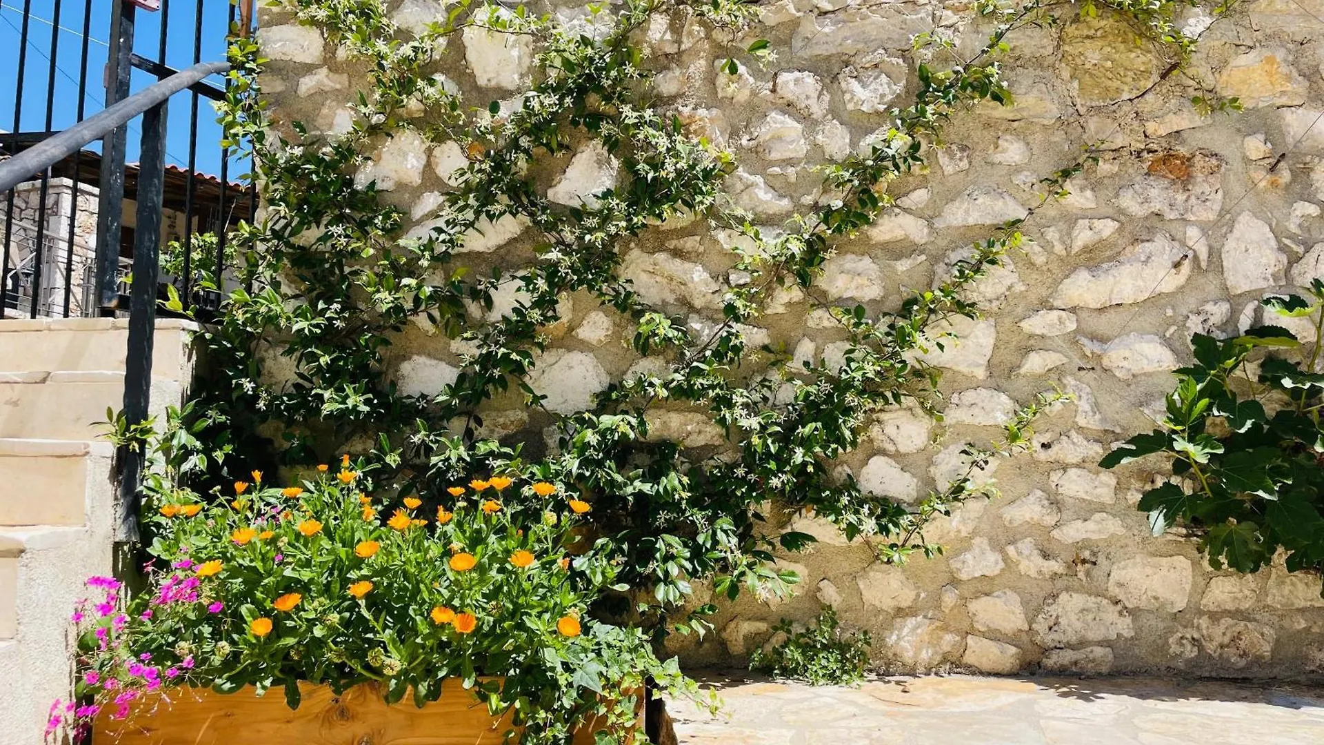 Guesthouse Near The Castle Of הימארה